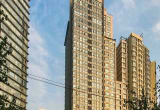 朝阳区综合市场营销调节