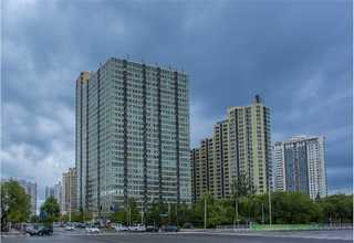 新都区盆栽植物公司